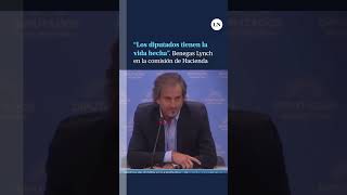 quotLos diputados tienen la vida hechaquot Benegas Lynch en la comisión de Hacienda [upl. by Maddie]