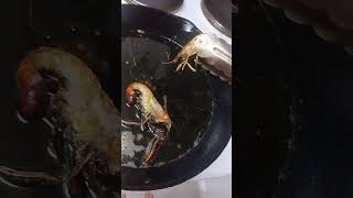 Cooking up a feed of yabbies yabbies [upl. by Connell]