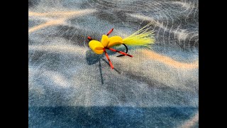 Fire Tiger Panfish Gurgler [upl. by Aillemac]