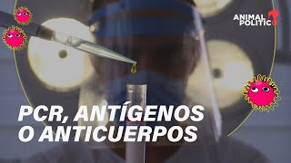 PCR antígenos o anticuerpos ¿Qué prueba debo hacerme [upl. by Evangelist]