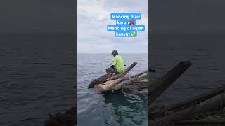 Mancing di Nipah Hanyut fishing angler adrenalin rumponalami tesnyali sarangikan spearfishing [upl. by Rafaelof]