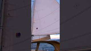 Contessa 26 sailing singlehandedsailing sailboat Slattingsails [upl. by Asillam]