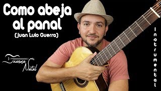 Como abeja al panal Juan Luis Guerra  INSTRUMENTAL  Juanma Natal  Cover  MUSIC [upl. by Florry729]