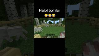 Halol borilar uchun obuna boʻlib qoyizla🙂 minecraftshortsvideoedit [upl. by Benia146]