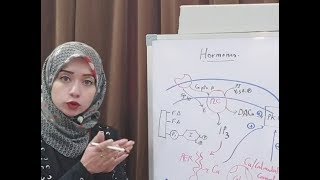 Hormone Biochemistry Session 4Hormones Acting via Ca as 2nd messenger [upl. by Leavitt634]