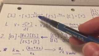 Deriving the michaelis menten equationsort of [upl. by Bate]