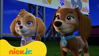 Patrulha Canina  Melhores Momentos da 9ª Temporada de Patrulha Canina 🐶 Parte 1  Nick Jr [upl. by Rehpotisrhc927]