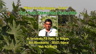 Winter Farming Category Castor Shri Ghemarbhai K Patel BANASKATHA [upl. by Vachel920]