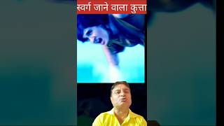 स्वर्ग जाने वाला अदभुत कुत्ता😳😱Shorts dailyfacts cauplevlog Deshendra [upl. by Reel]