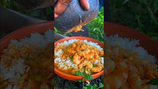 shrimp cooking by coconut coconut cooking🦐🦐🍤🍤🦐🦐🦐 [upl. by Hound474]