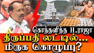 BJP H Raja about beef tallow in Thirupati laddu amp EVKS Elangovan [upl. by Jewel]