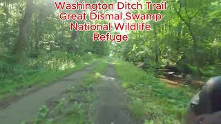 Washington Ditch Trail at Great Dismal Swamp National Wildlife Refuge [upl. by Yliah889]