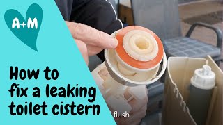 How to change toilet cistern seat washer Caroma dual flush [upl. by Lemraj]