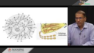 42 Glucose transporters and disorders [upl. by Khorma]