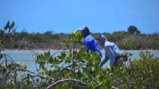 Bonefishing in Xcalak Mexico [upl. by Amil]