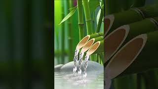 Soothing Relax Music Nature Sounds relaxing meditationmusic watersounds bamboo sleepmusic [upl. by Yelsgnik]