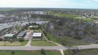 Loddon River Flood Kerang 28 Sept 2016 [upl. by Florence]