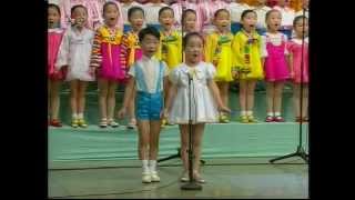 Song Sin Mi Song 8 DPRK Music [upl. by Beitnes]