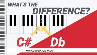 Whats The Difference Between C Sharp And D Flat  Enharmonic Spelling [upl. by Leugimesoj559]