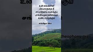 241112 worship bible verses in tamil சங்கீதம் 1288 psalms short [upl. by Sila661]