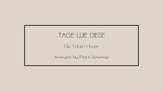 quotTage wie diesequot  Die toten Hosen Arr Martin Scharnagl [upl. by Ramak]