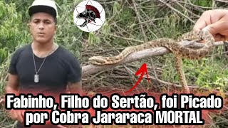 Cobra MORTAL Picou Fabinho Filho do Sertão  Biólogo Henrique o Biólogo das Cobras [upl. by Nial]