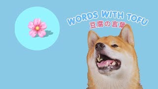 Words with Tofu Sakura  Cherry Blossom [upl. by Kennan]