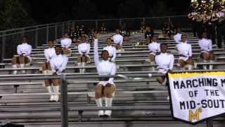 UAPB Golden Girls vs Alcorn 5th Quarter 2013 Pt 3 [upl. by Deni391]