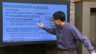 Animal Behavior  Lecture09 Habitat selection [upl. by Oswell]