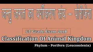 Biology  Classification Of Animal Kingdom  Phylum  Porifera Leucosolenia Part 1 [upl. by Hillel834]