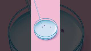 How Does IVF Work [upl. by Ahsetel]