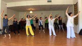 Taiji Qigong Shibashi set 1  finissant de lINMC 2017 [upl. by Ggerk51]