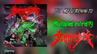 NekroskelekoN  Mutilated putriditY Official Visualiser [upl. by Lib]