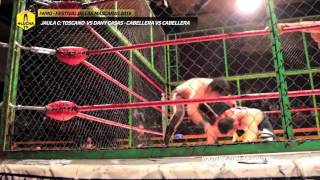 Toscano vs Dany Casas cabellera vs cabellera en jaula IWRG Arena Naucalpan 5 Junio 2016 [upl. by Cohlette]