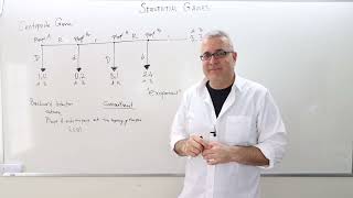 IME2 Chapter 5  Video 10 Centipede Game and Role of Commitment An example of Sequential Games [upl. by Perkins]