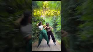 Ve Marjaneya Coke StudioOfficial Video Ve Kurta Laiya Main Ludhiana  Ve Kurta Coke Studio [upl. by Kciv]