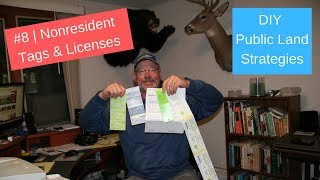 DIY Public Land Deer Hunting 8  Tags and drawings for nonresidents [upl. by Dlared]