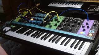 Moog Matriarch Synthesizer fun [upl. by Neile]