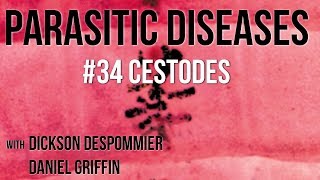 Parasitic Diseases Lectures 34 Cestodes [upl. by Rodi]