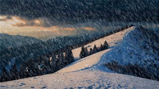 Snow Storm Sleep Sounds  Cozy Blizzard Ambience for Deep Relaxation [upl. by Ibbison]