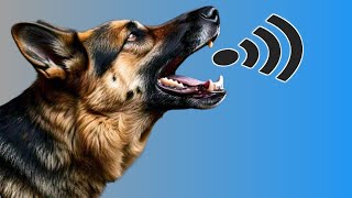 Female Dog In Heat Sound  Female Dog Barking  Dogs Howling Sound Effect  Kutte Ki Awaaz [upl. by Maria]