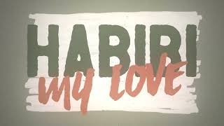 KiDi  Habibi Official Lyric Video [upl. by Iene]