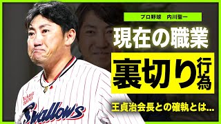 【プロ野球】内川聖一が王貞治会長を裏切ったと言われる真相現在の年収・妻子との関係に驚きを隠せない！「ヤクルト」で活躍したプロ野球選手がホークスから追放された実態とは [upl. by Haikezeh309]