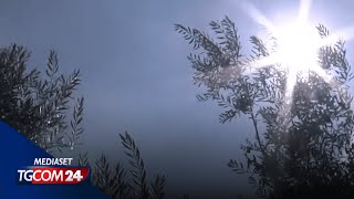 Meteo arriva il picco di caldo bollino rosso in diverse città [upl. by Eldreda205]