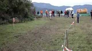 Championnat Interrégionaux de Cross  Cross Long [upl. by Rog]