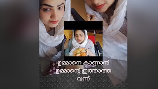 എൻ്റെ അവസ്ഥഇതാണ്  Evng vlog  wheelchairlife  thaslimedia777 [upl. by Colinson]