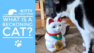 What is a Beckoning Cat and What Does it Mean [upl. by Tihw]