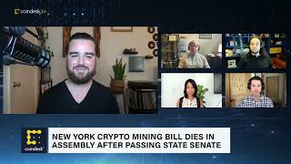 New York Crypto Mining Bill Dies in Assembly After Passing State Senate  The Hash [upl. by Otirecul]