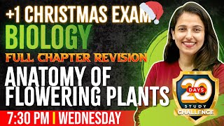 Plus One Biology Christmas Exam  Anatomy of Flowering Plants  Full ChapterChapter 6  Exam Winner [upl. by Dyraj457]