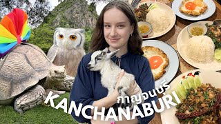 KANCHANABURI  morning market animal park amp best pad kra prao [upl. by Sylvie640]